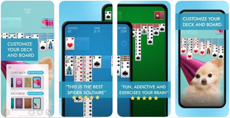 Spider Solitaire Brainium Studios