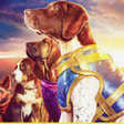 Super PupZ
