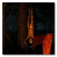 The Forest