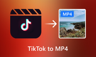 TikTok to MP4