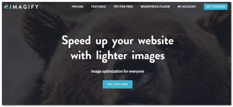 TinyPNG Alternatives Magnify