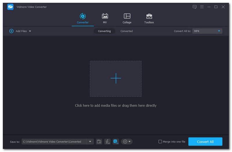 Vidmore Convert Interface