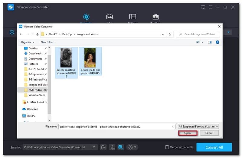Vidmore Converter Choosing File