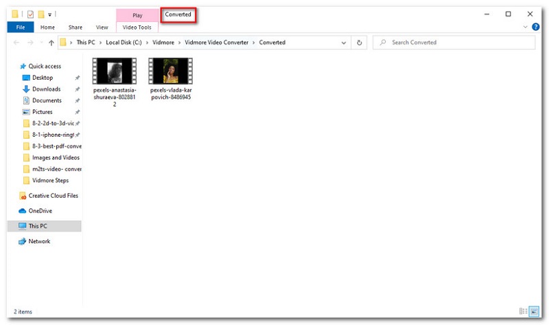 Vidmore Converter Converted Files