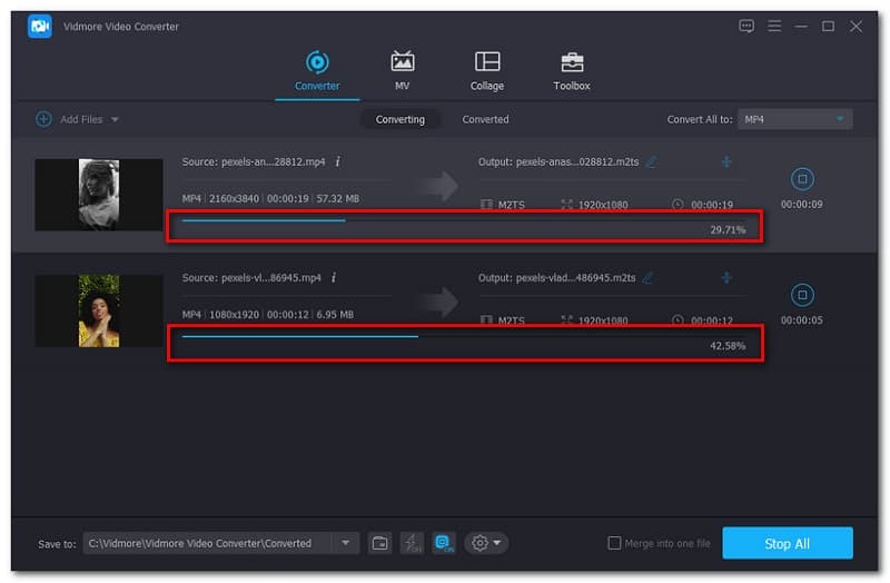 Vidmore Converter Converting Files