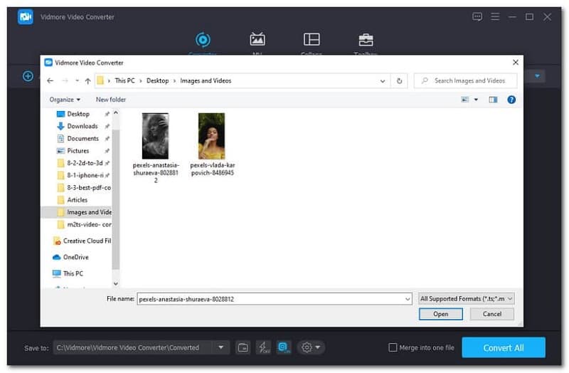 Vidmore Convert New Tab