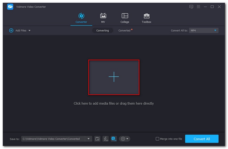 Vidmore Convert Plus Button