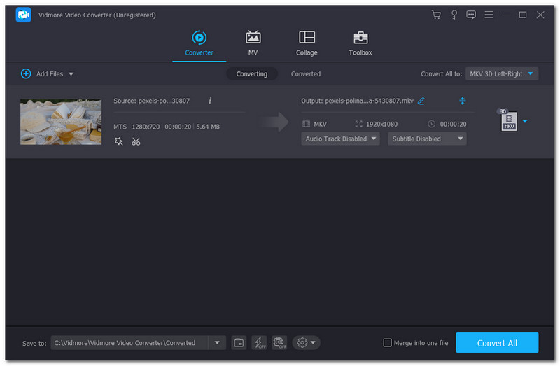 Vidmore Video Converters