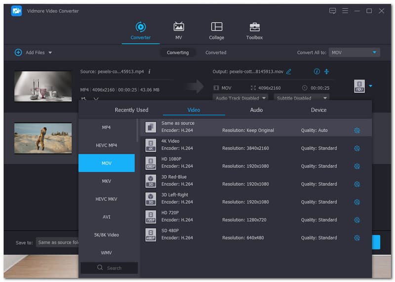 Vidmore Video MP4 To 3GP Converter