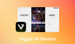 Viggle Ai Review