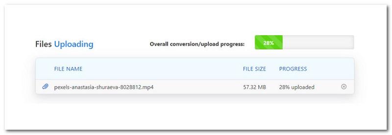 Zamzar Conversion Process