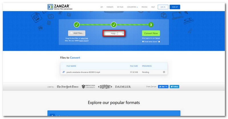 Zamzar Format