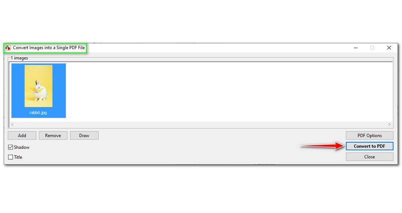 IrfanView for Mac Alternatives Fastone
